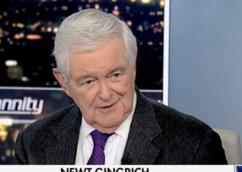 Newt Gingrich shares ‘number one thing’ GOP needs to push back against Democrats