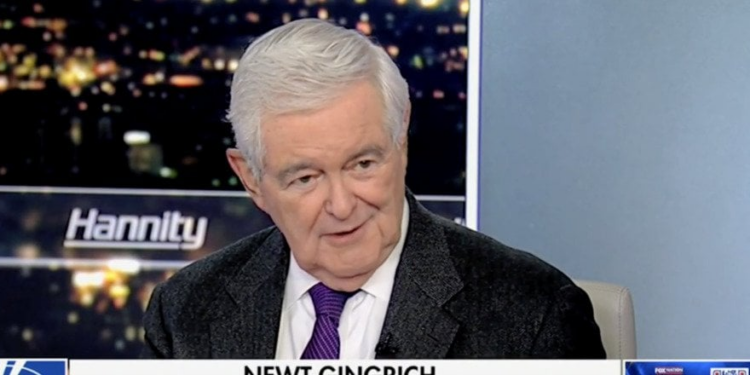 Newt Gingrich shares ‘number one thing’ GOP needs to push back against Democrats