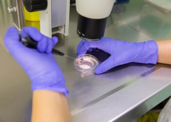 Trump administration expands IVF and other fertility treatment coverage