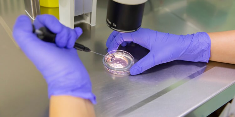 Trump administration expands IVF and other fertility treatment coverage