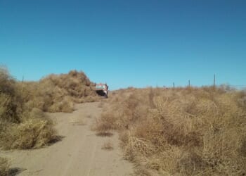 Times Square 'No Kings' Protest Oddly Breaks Up at Exactly 1 PM – Twitchy