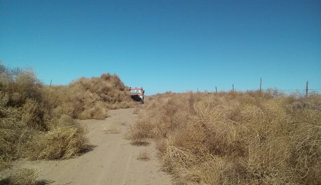 Times Square 'No Kings' Protest Oddly Breaks Up at Exactly 1 PM – Twitchy