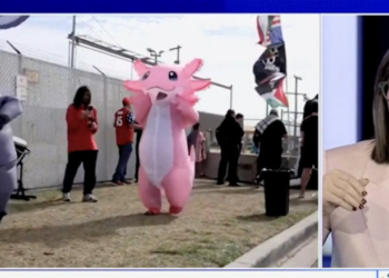 Watch Jessica Tarlov explain ‘intellectual’ benefits of dressing up as inflatable animal to protest ICE
