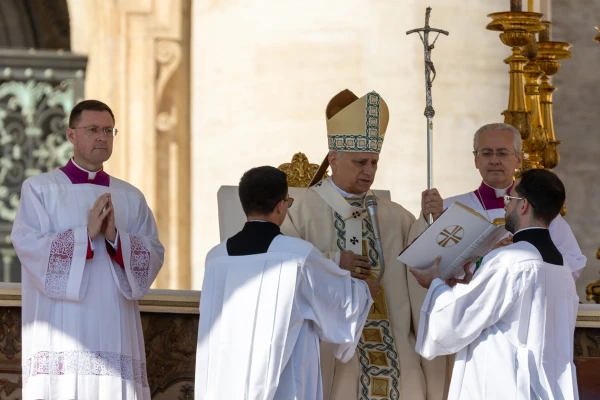 Pope Leo XIV proclaimed 7 new saints at the canonization Mass in St. Peter's Square on Oct. 19, 2025. Daniel Ibáñez/EWTN