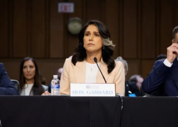 Trump Admin’s Had Plan All Long To Dismantle Deep State Behind The Scenes