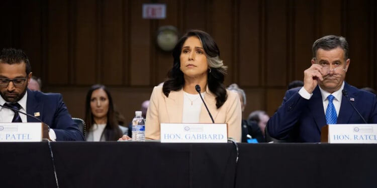 Trump Admin’s Had Plan All Long To Dismantle Deep State Behind The Scenes