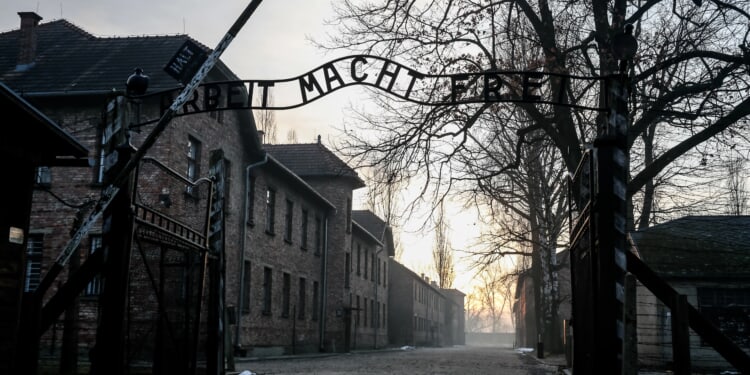 Pope Leo XIV approves decrees for 11 martyrs killed by Nazi Germany, communists