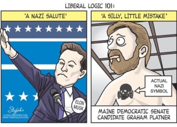 Best political cartoons of the week: Liberal logic whitewashing Nazi symbols