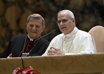 Pope Leo XIV: There’s no template for synodality across all countries