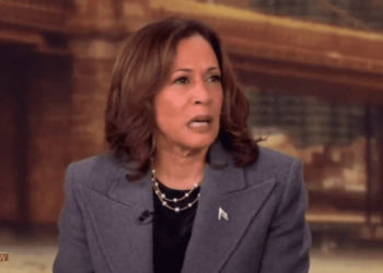 Kamala Harris floats possibility of another White House run