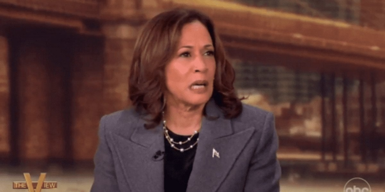 Kamala Harris floats possibility of another White House run