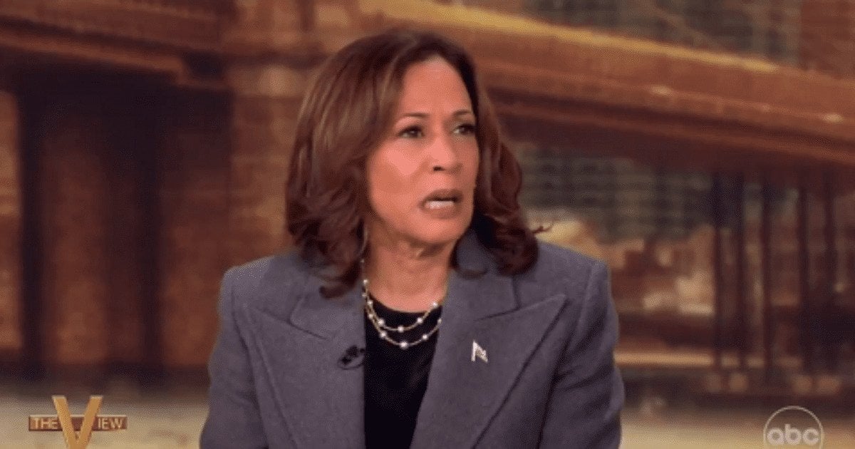 Kamala Harris floats possibility of another White House run