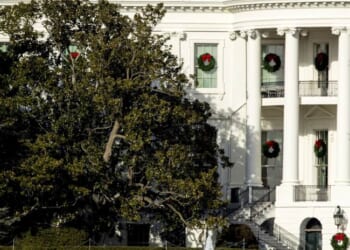 President Trump Takes Out 'Sacred' Trees for New White House Ballroom, Hysterical Media Loses Its Mind – Twitchy