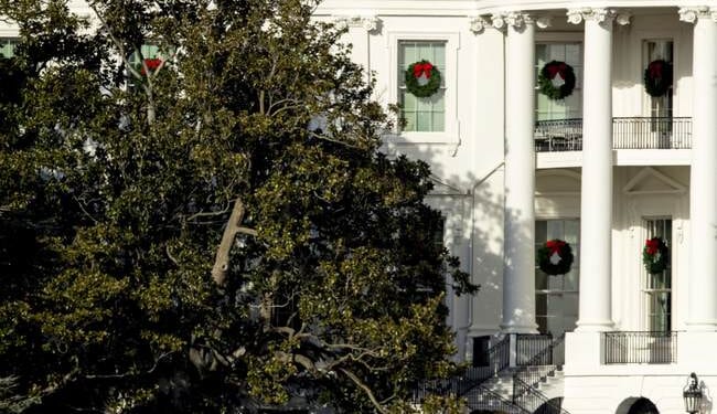 President Trump Takes Out 'Sacred' Trees for New White House Ballroom, Hysterical Media Loses Its Mind – Twitchy