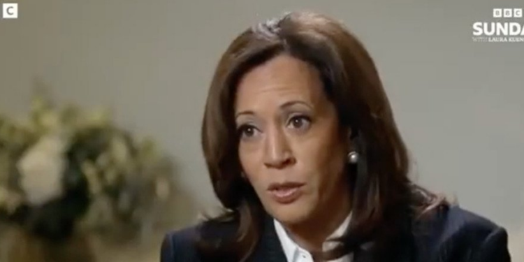 Kamala Harris assures interviewer Biden was fit to be president — but campaigning was different story