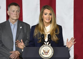 Shutdown halts billions in small business loans, government contracts, SBA administrator says