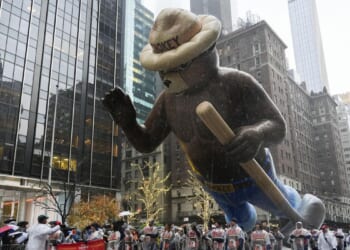 Female Army drill sergeants to begin wearing iconic 'Smokey the Bear' hat next year
