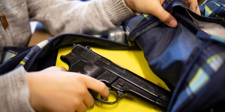 Transgender Indiana Teen to Plead Guilty in Planned Valentine’s Day School Shooting Plot