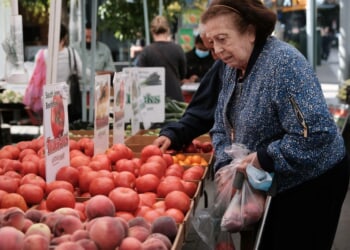 SNAP halt sparks concern among Catholic charitable groups