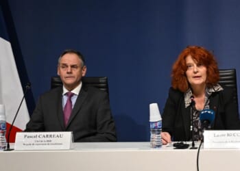 Two Louvre heist suspects admit their involvement according to prosecutor