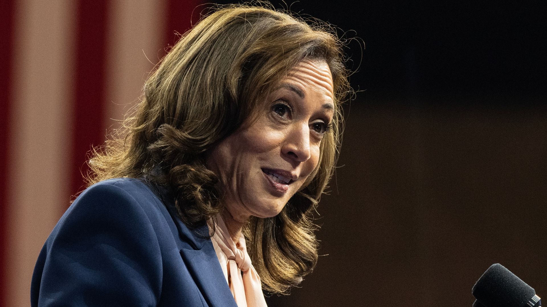 Kamala Pushes to Lower Voting Age to 16, Citing ‘Climate Anxiety’ Among Teens [WATCH]