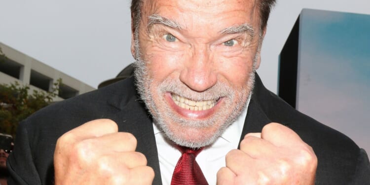 Arnold Schwarzenegger 'Terminates' Gavin Newsom and Jake Tapper on Gerrymandering [WATCH]