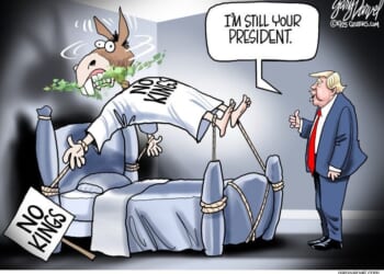 Best political cartoons: I'm still your president.