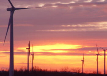 Biden admin streamlined path for offshore wind boondoggles despite internal red flags