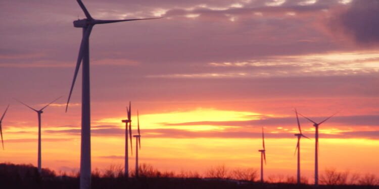 Biden admin streamlined path for offshore wind boondoggles despite internal red flags