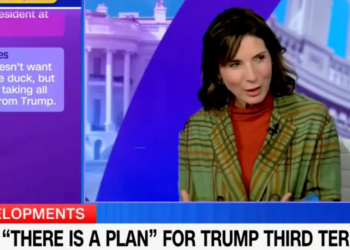 CNN Contributor Says With Straight Face Trump Third Term Talk Has Been ‘Incredibly Triggering’ For Democrats