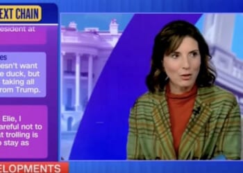 CNN contributor says with straight face Trump third term talk has been ‘incredibly triggering’ for Democrats