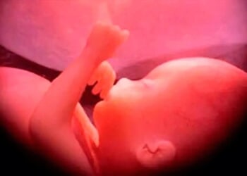 Catholics across the U.S. encouraged to participate in Respect Life Novena