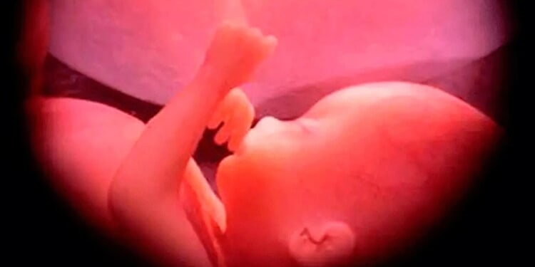 Catholics across the U.S. encouraged to participate in Respect Life Novena