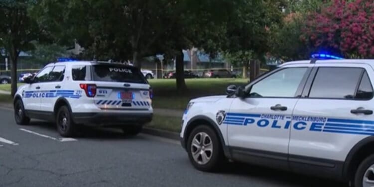 Charlotte teen with troubling Google search history arrested 111 times in TWO years