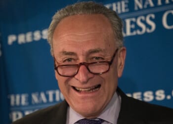 Chuck Schumer Calls for Americans to 'Forcefully Rise Up' Over Letitia James Indictment [WATCH]