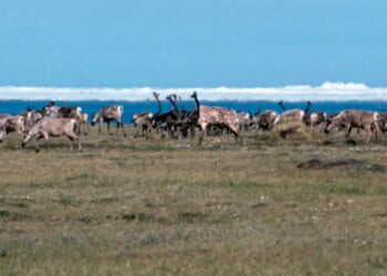 DAVID BLACKMON: Promises Made, Promises Kept On ANWR