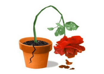 Daniel Valentine: Did Labour’s conference unmask them as the “nasty party” of British politics?