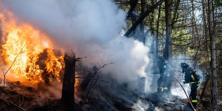 Detroit Man Gifted $100K by Influencer Kidnapped, Robbed by Relatives [WATCH]