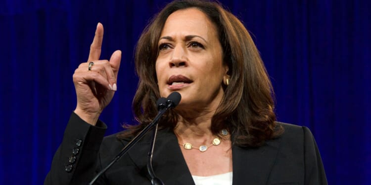 Did Kamala Confess Dems Have Scared Gen Z from Having Kids Due to 'Climate Anxiety'? [WATCH]