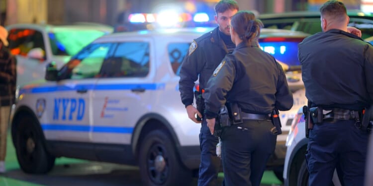 Former NYPD Officers Save Woman Carrying Baby into the East River [WATCH]