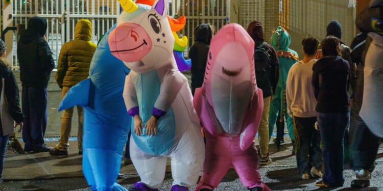 Fox’s Tarlov Calls Inflatable Animal Protests 'Intellectual' Amid Antifa ICE Chaos [WATCH]