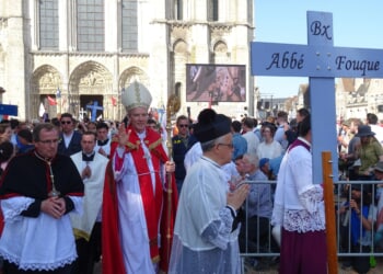 French bishop denounces euthanasia as contradicting ‘an immemorial law’: ‘You shall not kill’
