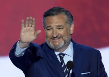 Gavin Newsom Tries Snarking on Trump for Doing His Job and Ted Cruz DROPS Him With Some BRUTAL Advice – Twitchy