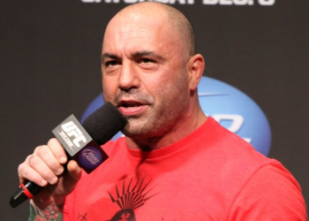 Gov. Gavin Newsom Desperately Wants to Be Invited on Joe Rogan’s Podcast – Twitchy