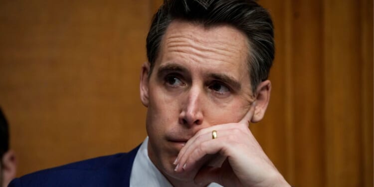 Hawley Calls Code Pink ‘Human Rights Violators’ in Heated Exchange [WATCH]