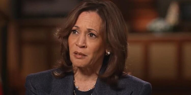Hunter Biden throws shade at Kamala, suggests she was picked VP because she’s Black