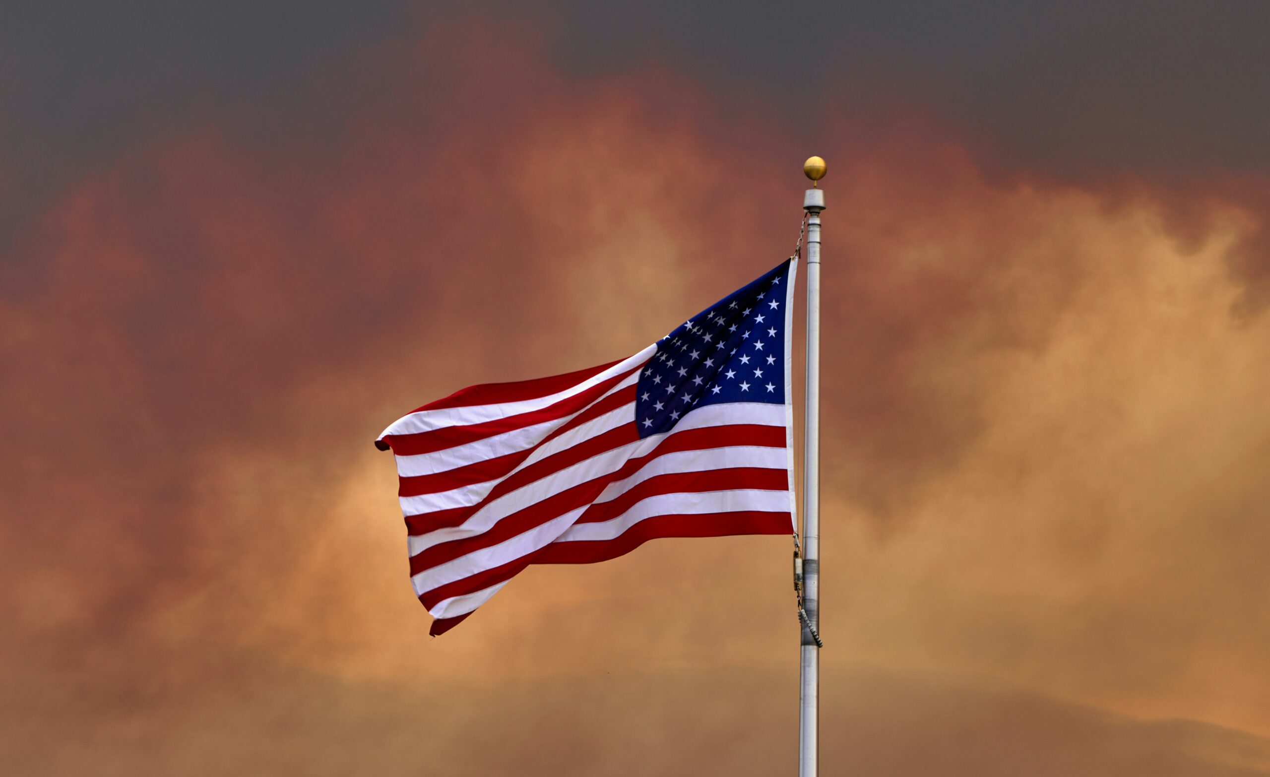 Is the Right Pining for Racial Purity? | The American Spectator