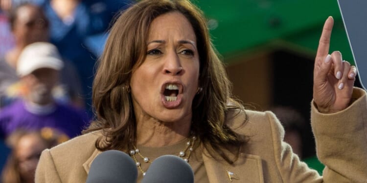 Kamala Drops F-Bombs Over Shutdown as Democrats Refuse to Reopen Government [WATCH]