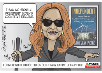 American Spectator 300x600 Subscribe Ad