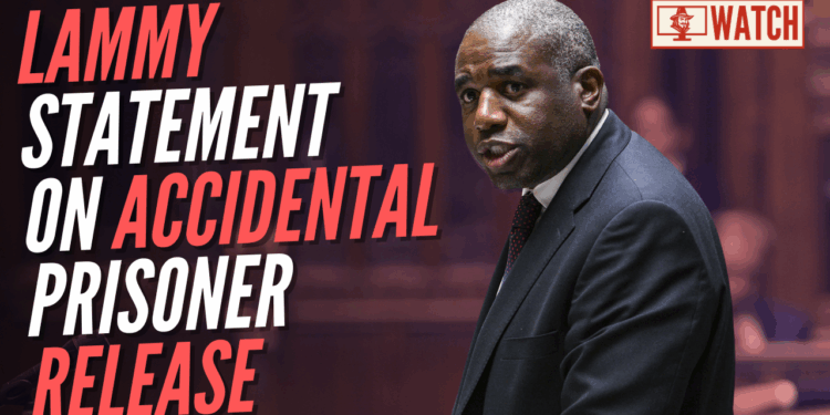 Lammy Delivers Commons Statement on Accidental Release of Migrant Sex Attacker – Guido Fawkes